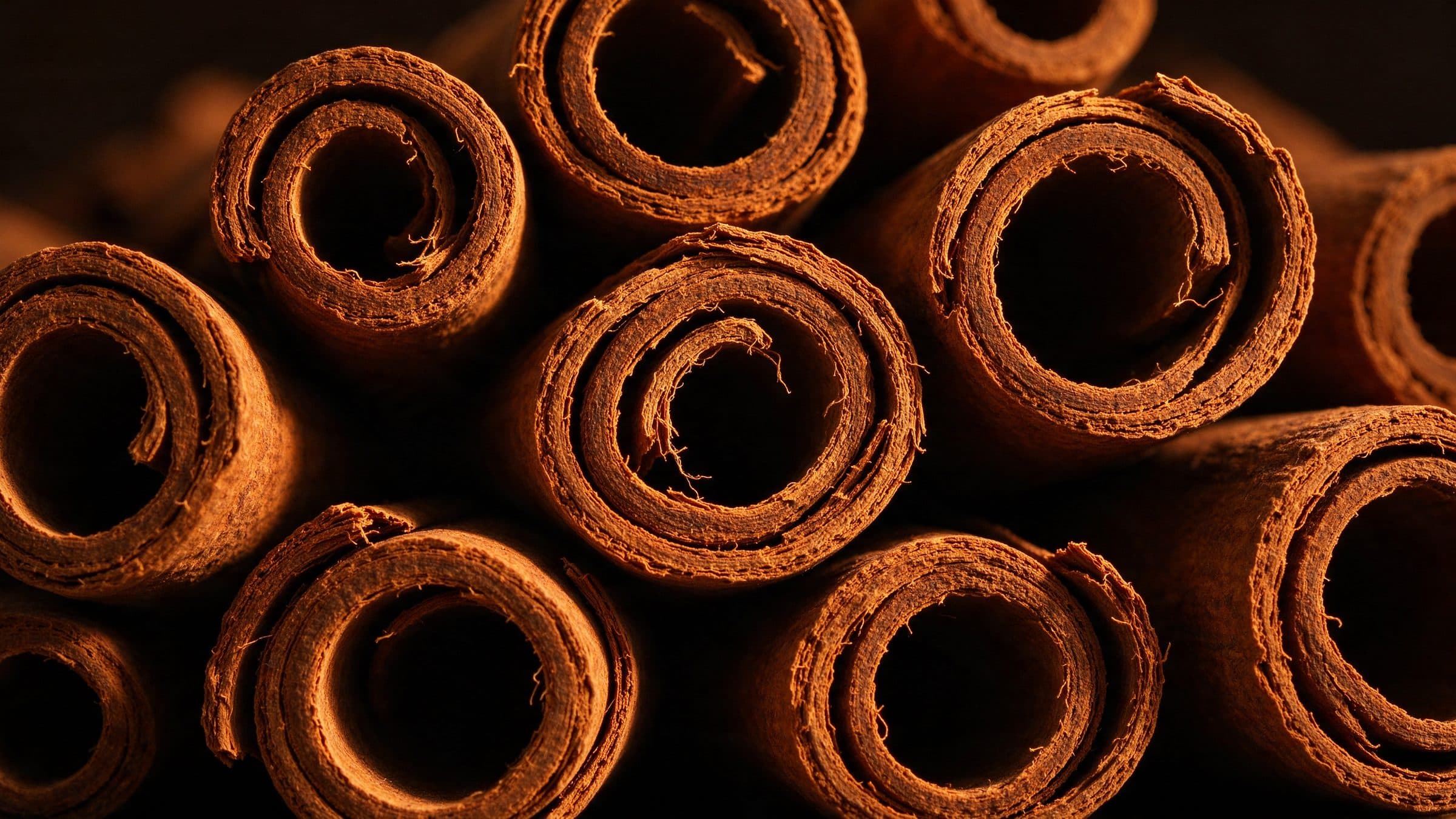 Dramatic close-up of Ceylon cinnamon quills